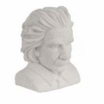 Einstein Head Eraser