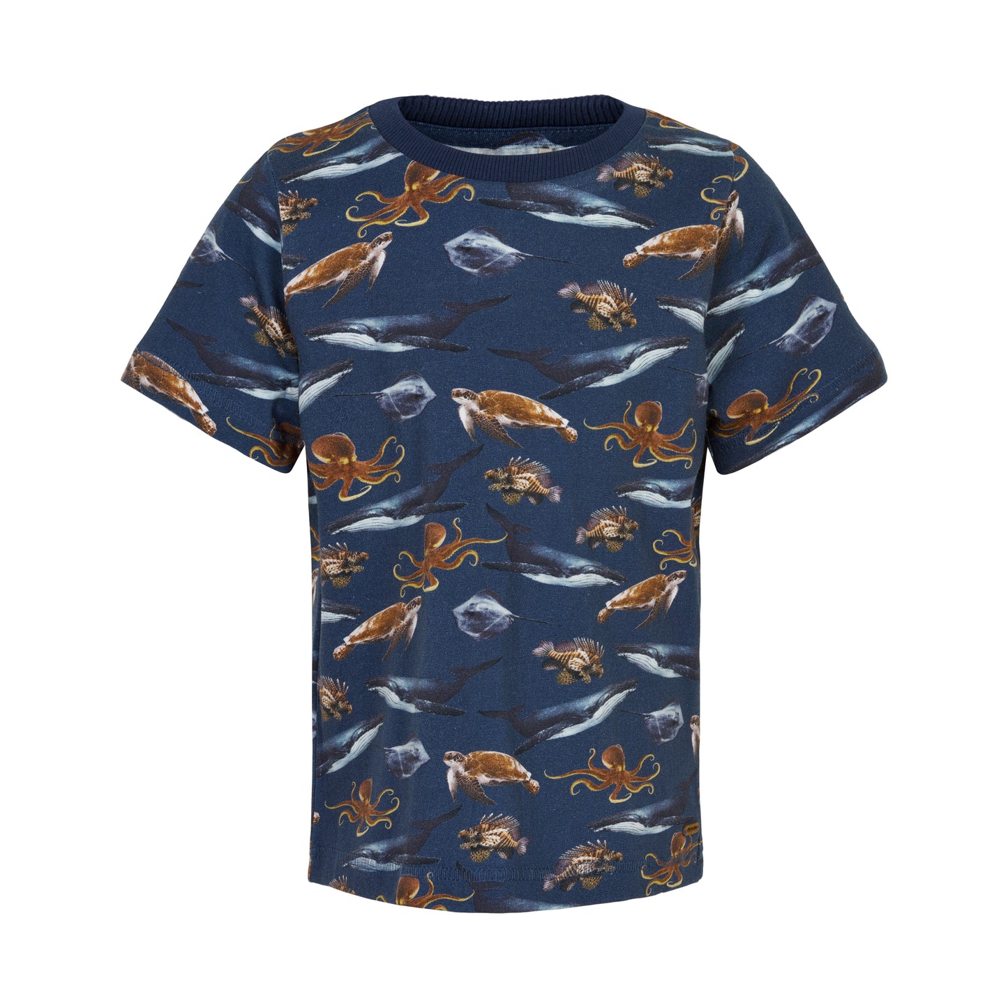 Navy Blue Sea Life Tee