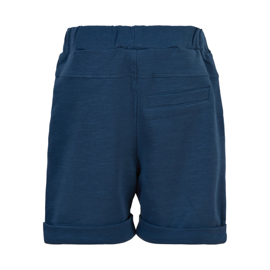 Navy Blue Shorts