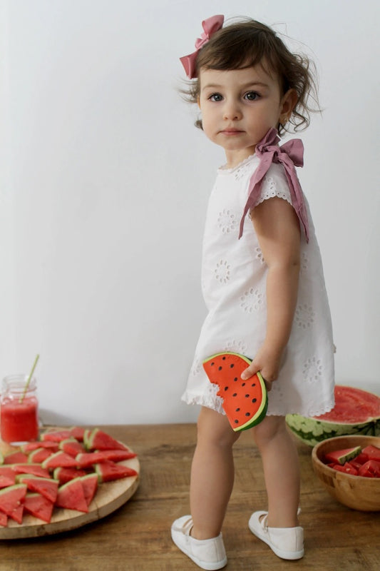 Wally the Watermelon Teether & Toy