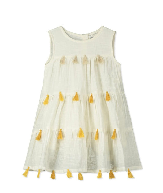 Ombré Tassel Dress
