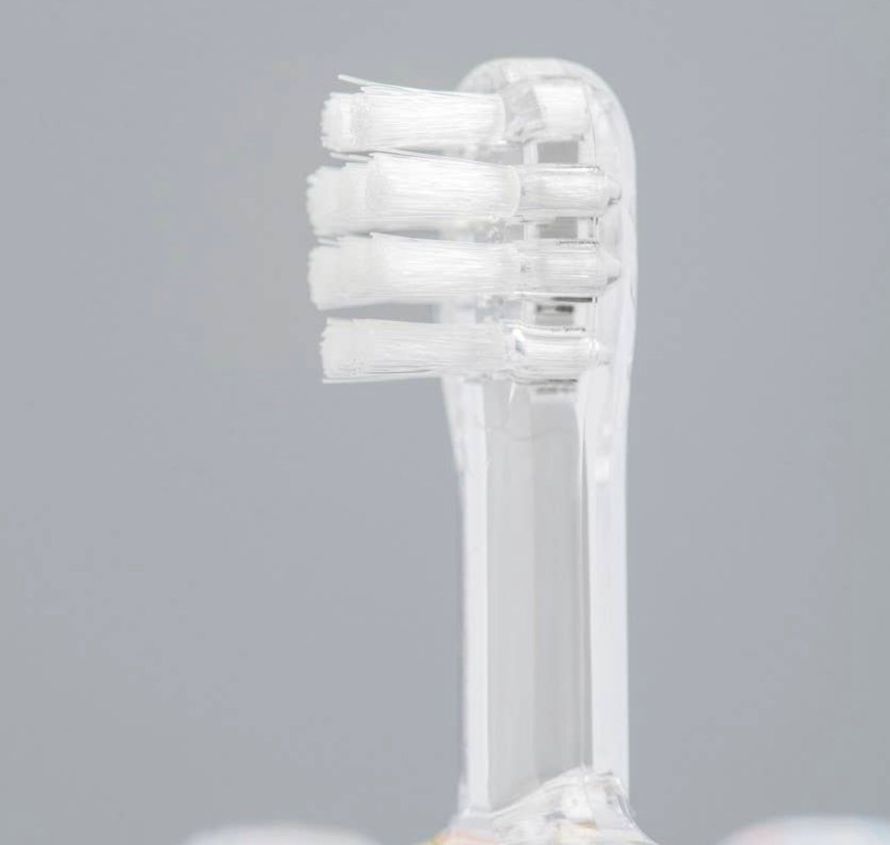 Dinosaur Baby Toothbrush