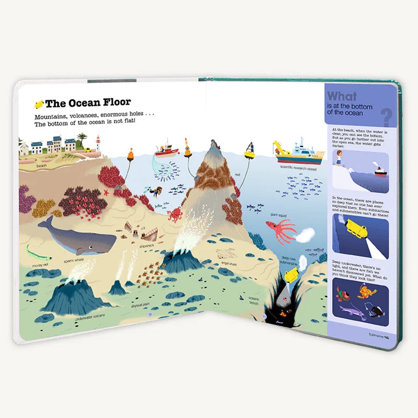 Do You Know?: Oceans and Marine Life