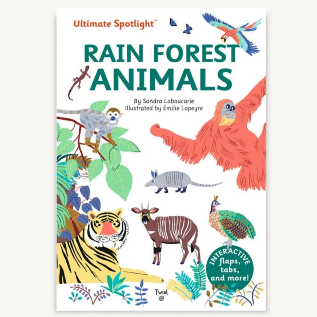 Ultimate Spotlight: Rain Forest Animals