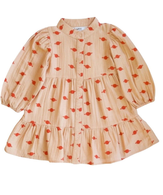 Planets Dress