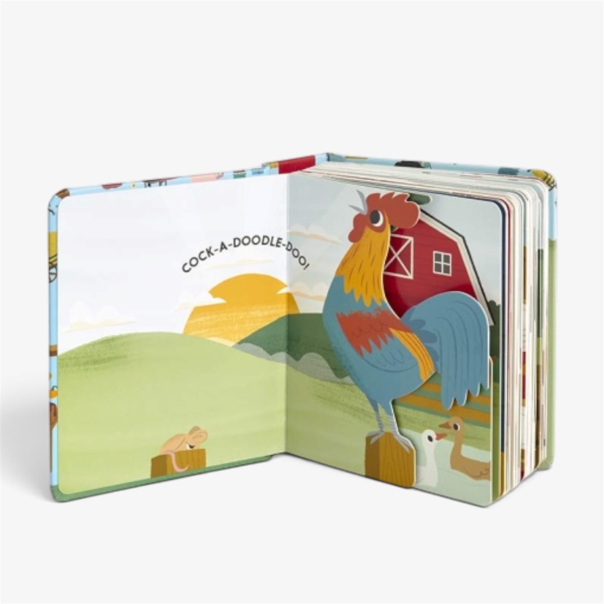 An open children's pop-up book showing a colorful illustration of a rooster in a farm scene with a barn, hills, and the text 'COCK-A-DOODLE-BOO!', photographed on a white background.