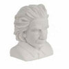 Einstein Head  Eraser