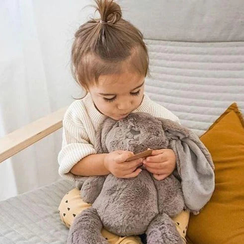Earth Taupe Byron Bunny Huggie Plush Toy