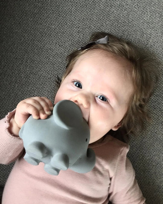 Elephant Organic Rattle, Teether & Bath Toy