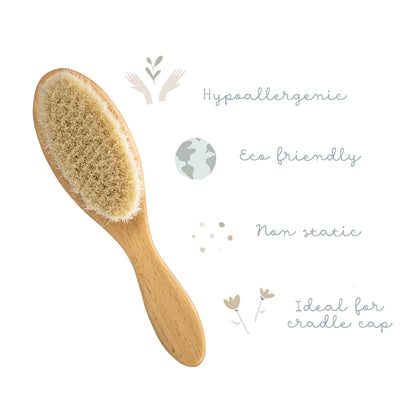 Wooden Baby Goat Hair Brush