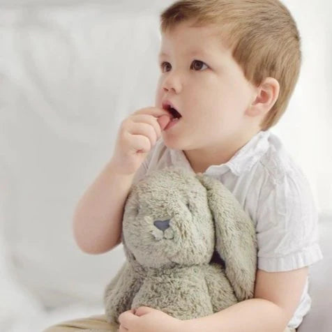 Sage Beau Bunny Huggie Plush Toy