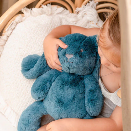 Blue Banjo Bunny Huggie Plush Toy