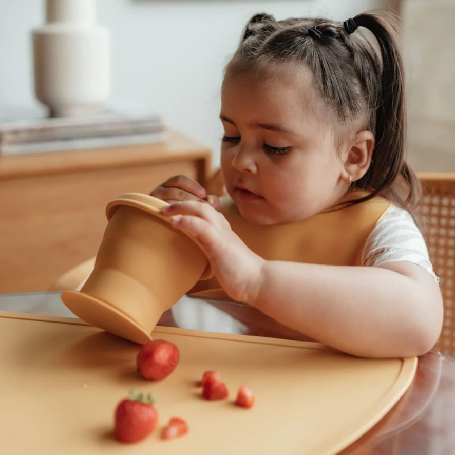 Mango Collapsable Snack Cup