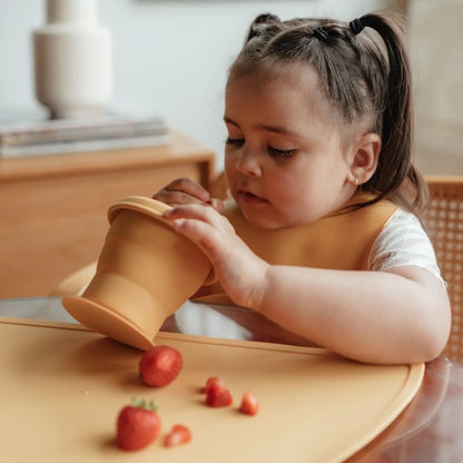 Mango Collapsable Snack Cup
