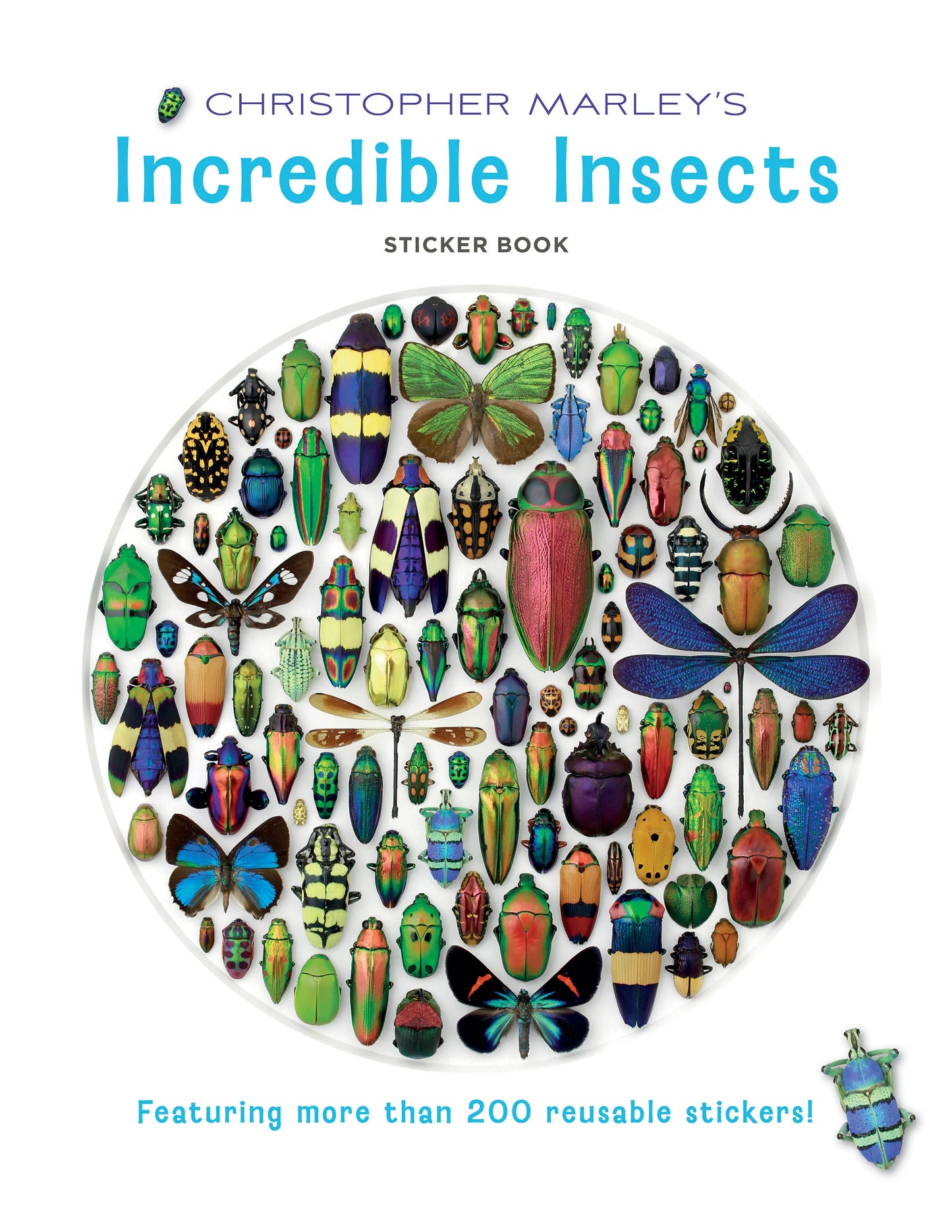 Incredible Insects Sticker Book