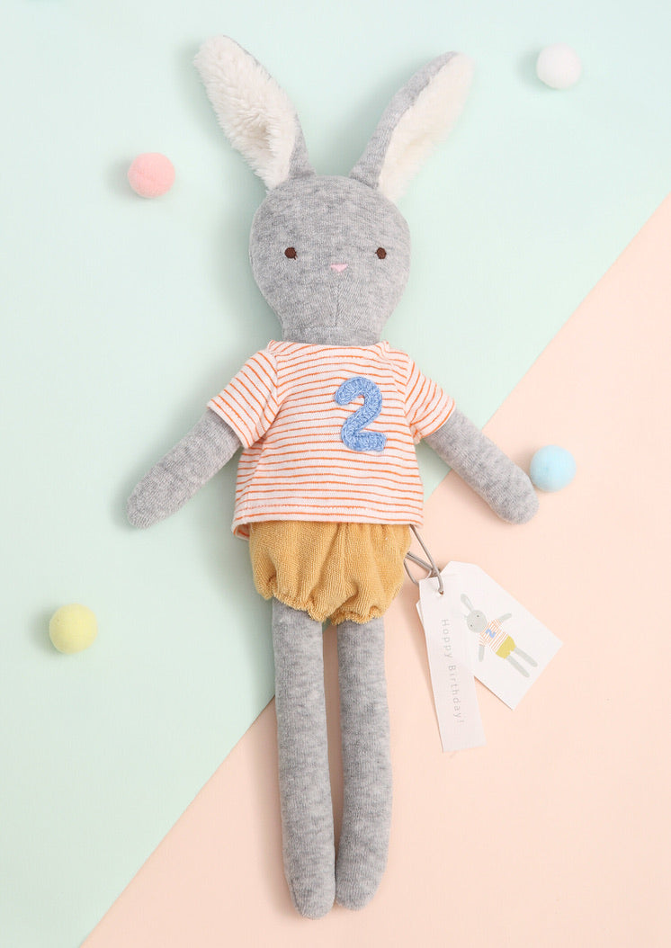 2nd Year Birthday Bunny Doll
