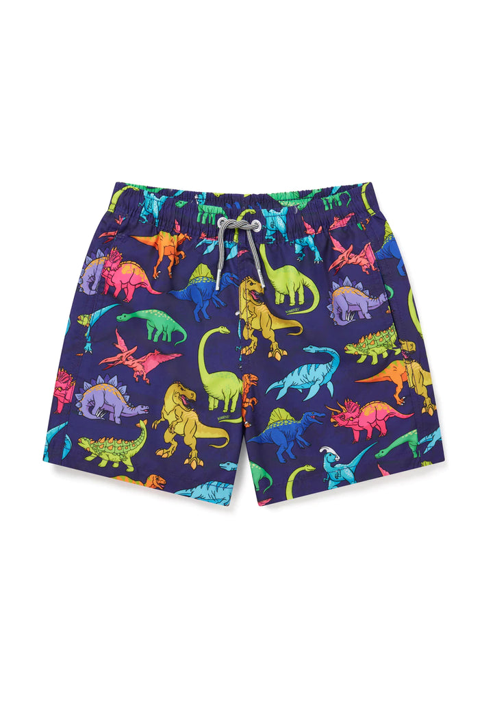 Vibrant Dino Swim Shorts
