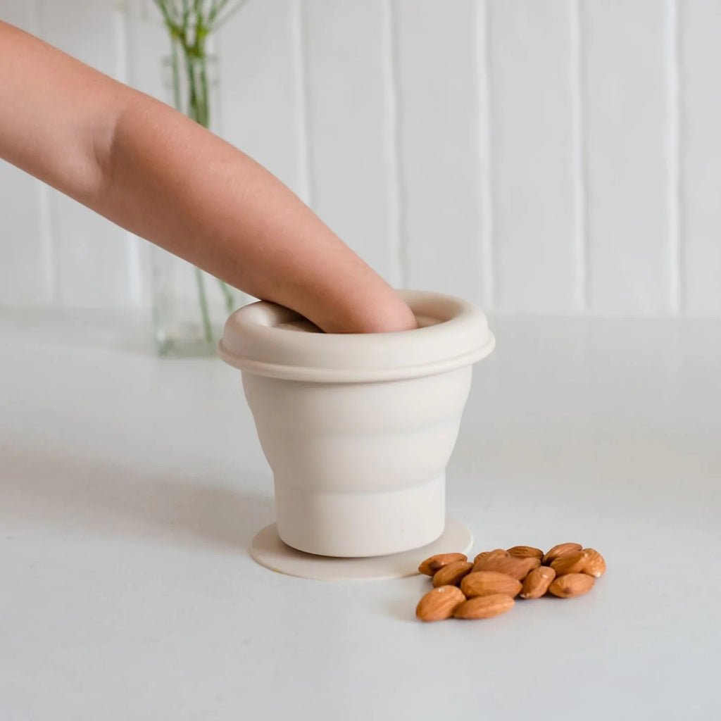 Coconut Collapsable Snack Cup