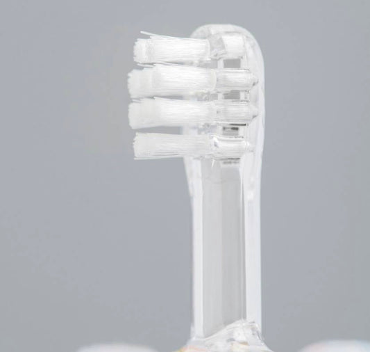 Dinosaur Baby Toothbrush